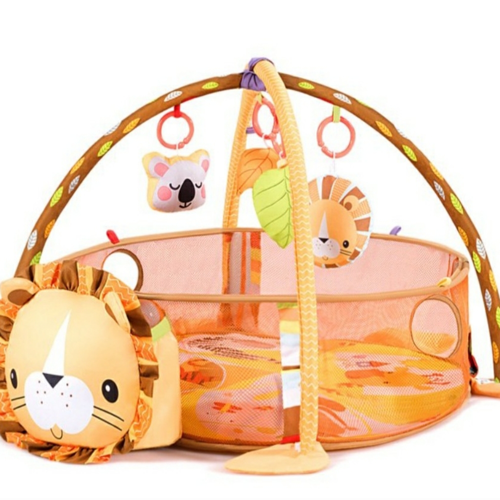 Play mat with play gym/ ball pit for baby